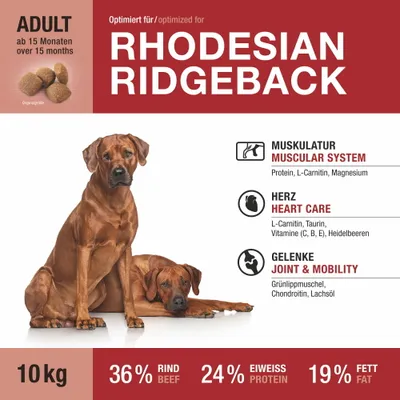 Wildsterne Breed Rhodesian Ridgeback Wildsterne Breed Rhodesian Ridgeback