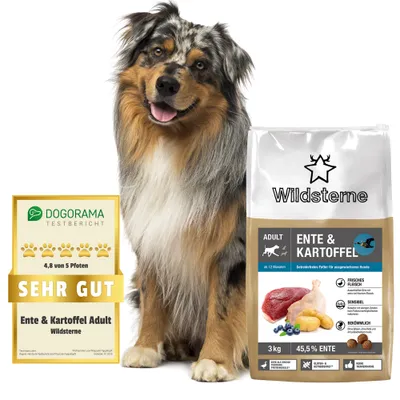 Wildsterne Classic Adult Ente & Kartoffel Wildsterne Classic Adult Ente & Kartoffel