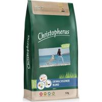 Packung Christopherus älterer Hund