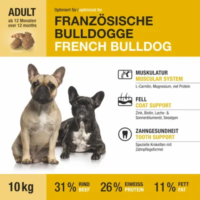 Wildsterne Breed French Bulldog Wildsterne Breed French Bulldog