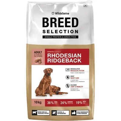 Wildsterne Breed Rhodesian Ridgeback Wildsterne Breed Rhodesian Ridgeback