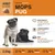 Wildsterne Breed Mops Wildsterne Breed Mops