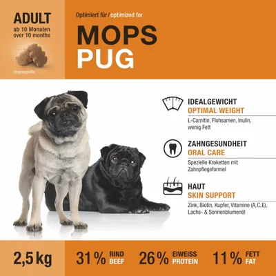 Wildsterne Breed Mops Wildsterne Breed Mops