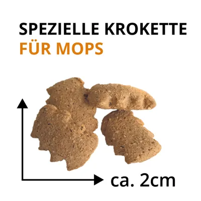 Wildsterne Breed Mops Wildsterne Breed Mops