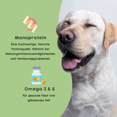HAPPY JACKY Nassfutter Monoprotein 6x820g