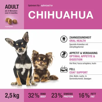 Wildsterne Breed Chihuahua Wildsterne Breed Chihuahua