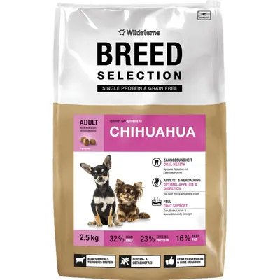 Wildsterne Breed Chihuahua Wildsterne Breed Chihuahua