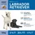 Wildsterne Breed Labrador Retriever Wildsterne Breed Labrador Retriever
