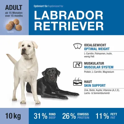 Wildsterne Breed Labrador Retriever Wildsterne Breed Labrador Retriever