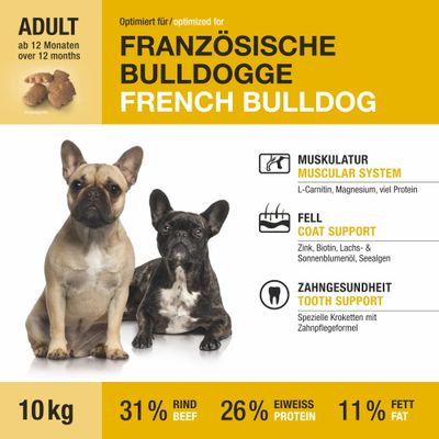 Wildsterne Breed French Bulldog