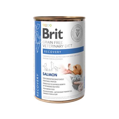 Brit Vet Diet Dog + Cat Recovery 6x400g