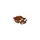 500g