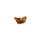 1kg