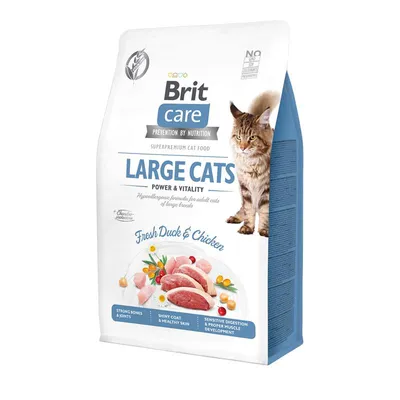 Brit Care Cat Large Cats Power&Vitality Brit Care Cat Large Cats Power&Vitality