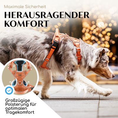 Hundegeschirr atmungsaktiv gepolstert - Anti-Zug-Geschirr - Sunset Orange