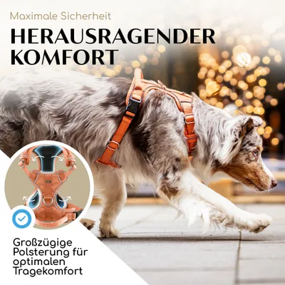 Hundegeschirr atmungsaktiv gepolstert - Anti-Zug-Geschirr - Sunset Orange Hundegeschirr atmungsaktiv gepolstert - Anti-Zug-Geschirr - Sunset Orange