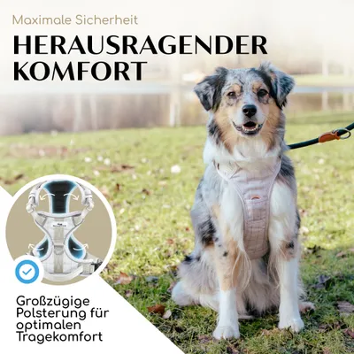Hundegeschirr atmungsaktiv gepolstert - Anti-Zug-Geschirr - Model Clyde Hundegeschirr atmungsaktiv gepolstert - Anti-Zug-Geschirr - Model Clyde