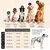 Hundegeschirr atmungsaktiv gepolstert - Anti-Zug-Geschirr - Sunset Orange
