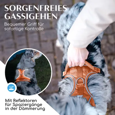 Hundegeschirr atmungsaktiv gepolstert - Anti-Zug-Geschirr - Sunset Orange Hundegeschirr atmungsaktiv gepolstert - Anti-Zug-Geschirr - Sunset Orange