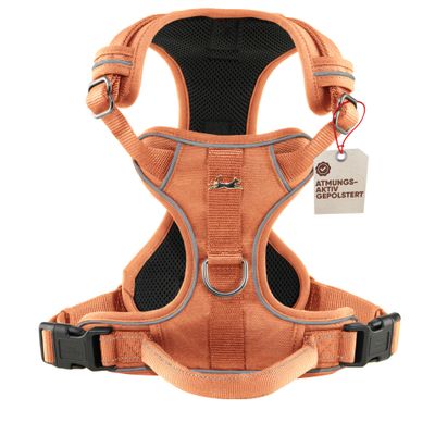 Hundegeschirr atmungsaktiv gepolstert - Anti-Zug-Geschirr - Sunset Orange