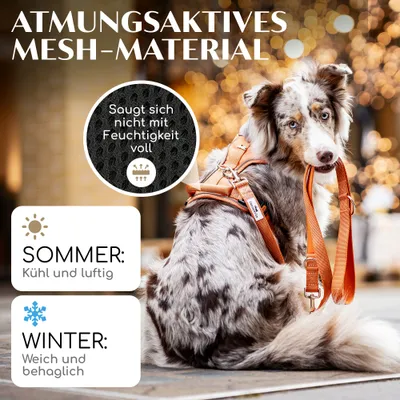 Hundegeschirr atmungsaktiv gepolstert - Anti-Zug-Geschirr - Sunset Orange Hundegeschirr atmungsaktiv gepolstert - Anti-Zug-Geschirr - Sunset Orange