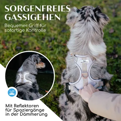 Hundegeschirr atmungsaktiv gepolstert - Anti-Zug-Geschirr - Model Clyde Hundegeschirr atmungsaktiv gepolstert - Anti-Zug-Geschirr - Model Clyde
