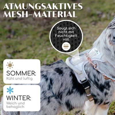 Hundegeschirr atmungsaktiv gepolstert, Anti-Zug-Geschirr