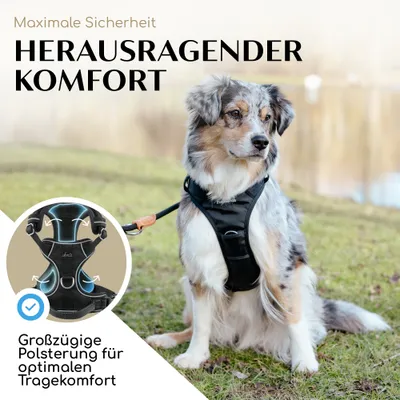 Hundegeschirr atmungsaktiv gepolstert - Anti-Zug-Geschirr - Chocolate