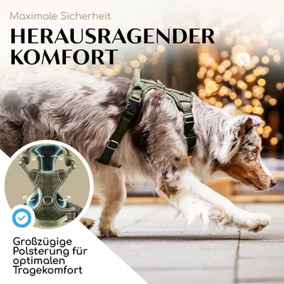 Hundegeschirr atmungsaktiv gepolstert - Anti-Zug-Geschirr - Forest Green Hundegeschirr atmungsaktiv gepolstert - Anti-Zug-Geschirr - Forest Green