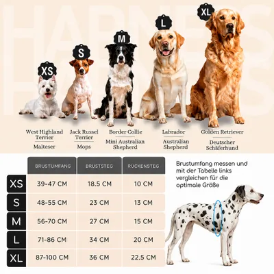 Hundegeschirr atmungsaktiv gepolstert - Anti-Zug-Geschirr - Schwarz Hundegeschirr atmungsaktiv gepolstert - Anti-Zug-Geschirr - Schwarz