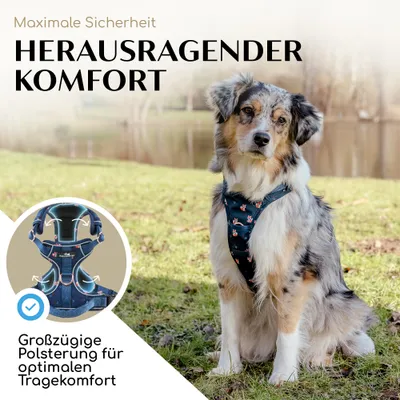 Hundegeschirr atmungsaktiv gepolstert - Anti-Zug-Geschirr - Let's get Foxy Hundegeschirr atmungsaktiv gepolstert - Anti-Zug-Geschirr - Let's get Foxy