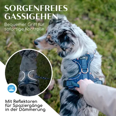 Hundegeschirr atmungsaktiv gepolstert - Anti-Zug-Geschirr - Let's get Foxy Hundegeschirr atmungsaktiv gepolstert - Anti-Zug-Geschirr - Let's get Foxy