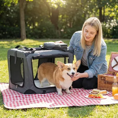 GIANTEX Sac Transport Chien Chat 61x43x43cm Oxford 3 Portes Coussin GIANTEX Sac Transport Chien Chat 61x43x43cm Oxford 3 Portes Coussin