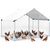 1 enclos à poules
