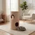 GIANTEX Tonneau Chat 2 Niveaux, 66 cm, Tapis Sisal, 2 Condos, Ours. GIANTEX Tonneau Chat 2 Niveaux, 66 cm, Tapis Sisal, 2 Condos, Ours.