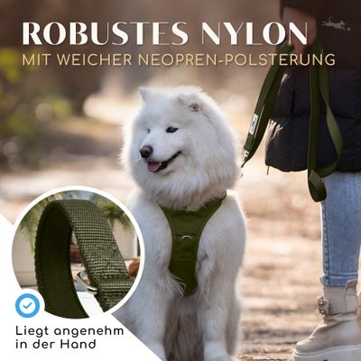 Hundeleine 2m – gepolstert & verstellbar – Führleine in Forest Green