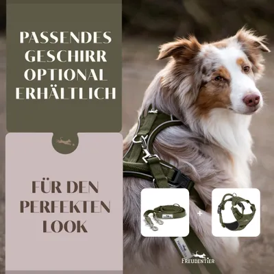 Hundeleine 2m – gepolstert & verstellbar – Führleine in Forest Green Hundeleine 2m – gepolstert & verstellbar – Führleine in Forest Green