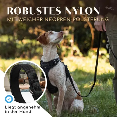 Hundeleine 2m – gepolstert & verstellbar – Führleine in Schwarz