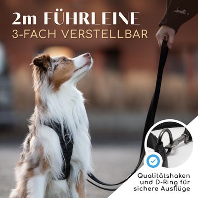 Hundeleine 2m – gepolstert & verstellbar – Führleine in Schwarz