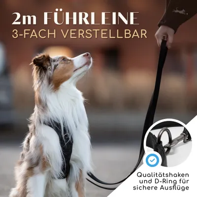 Hundeleine 2m – gepolstert & verstellbar – Führleine in Schwarz