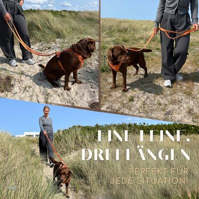 Hundeleine 2m – gepolstert & verstellbar – Führleine in Sunset Orange