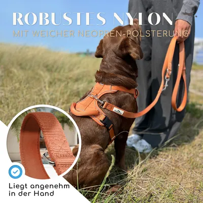 Hundeleine 2m – gepolstert & verstellbar – Führleine in Sunset Orange