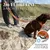 Hundeleine 2m – gepolstert & verstellbar – Führleine in Sunset Orange