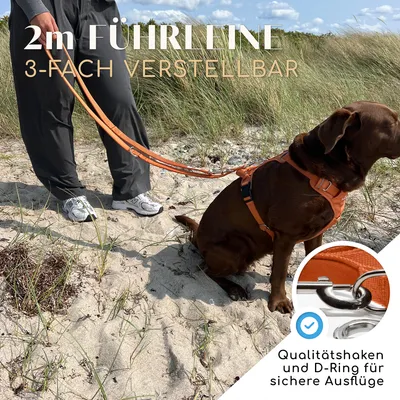 Hundeleine 2m – gepolstert & verstellbar – Führleine in Sunset Orange