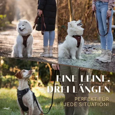 Hundeleine 2m – gepolstert & verstellbar – Führleine in Chocolate