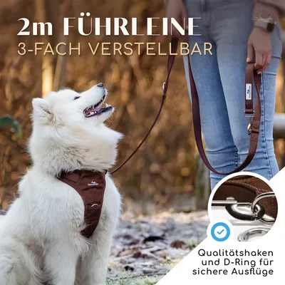 Hundeleine 2m – gepolstert & verstellbar – Führleine in Chocolate