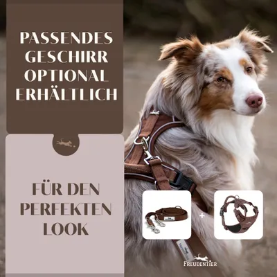 Hundeleine 2m – gepolstert & verstellbar – Führleine in Chocolate