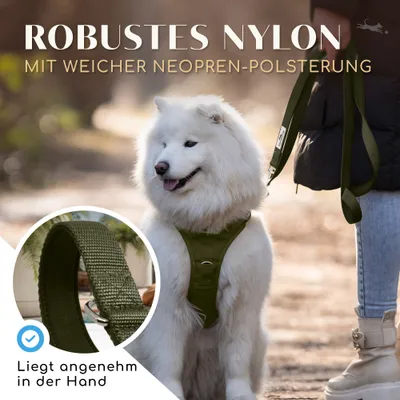 Hundeleine 2m – gepolstert & verstellbar – Führleine in Forest Green