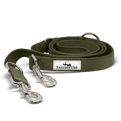 Hundeleine 2m – gepolstert & verstellbar – Führleine in Forest Green