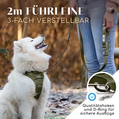 Hundeleine 2m – gepolstert & verstellbar – Führleine in Forest Green